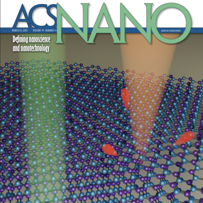 New paper on ACS Nano